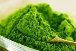 Moringa Powder (مورنگا پاؤڈر) (1kg)