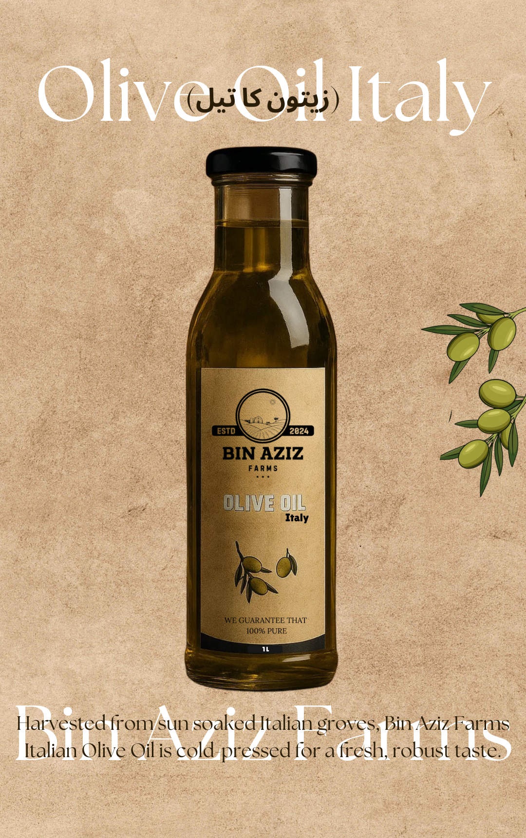 OLIVE OIL - ITALY (زیتون کا تیل)